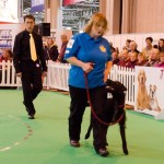 Melanie-Sharing Paweosme-dog-training -cumbria- crufts finalist